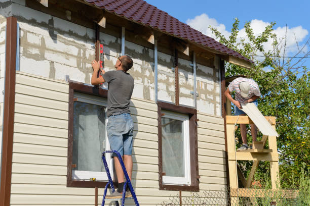 Best Siding Removal and Disposal  in Thayer, MO