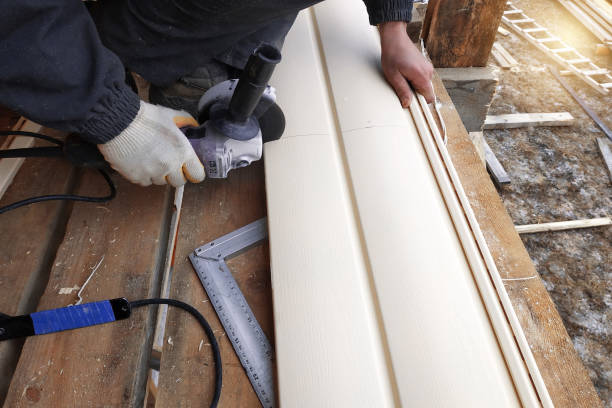 Best Vinyl Siding Installation  in Thayer, MO
