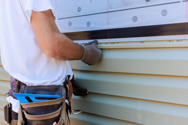Best Steel Siding Installation  in Thayer, MO